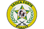 Owl Image